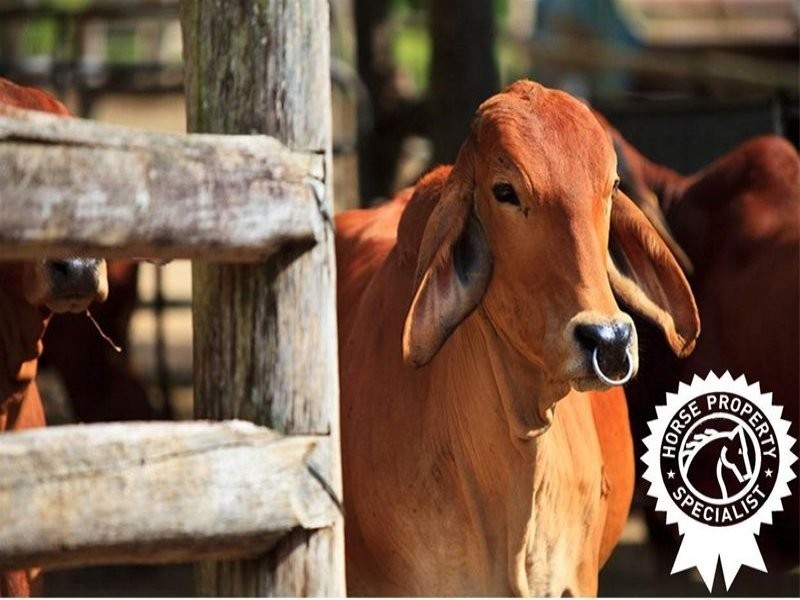 55 Happy Jack Creek Road, Ridgewood QLD 4563