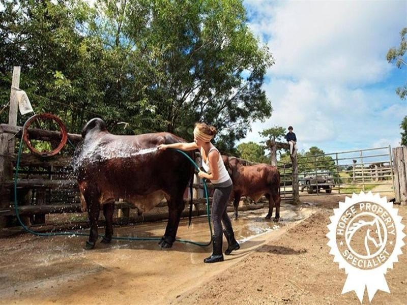 55 Happy Jack Creek Road, Ridgewood QLD 4563