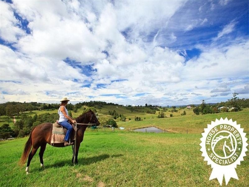 55 Happy Jack Creek Road, Ridgewood QLD 4563