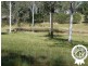 60-77 Oakey Creek Road, Gheerulla QLD 4574