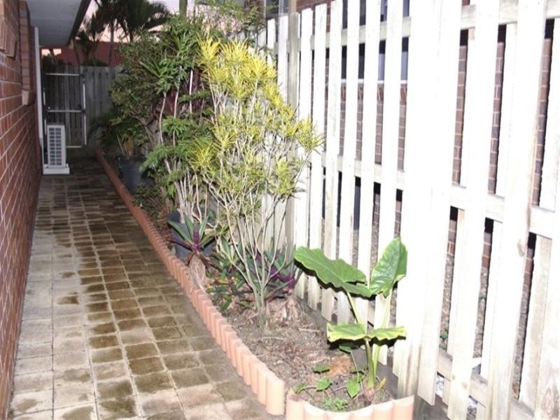 19 Arwen Street, Maroochydore QLD 4558