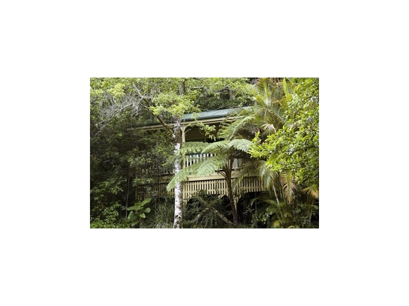 20 Kondalilla Falls Road, Montville QLD 4560