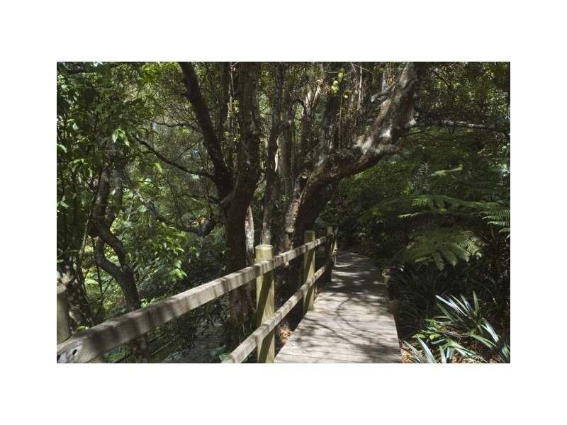 20 Kondalilla Falls Road, Montville QLD 4560