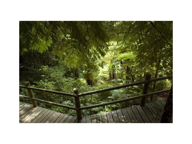 20 Kondalilla Falls Road, Montville QLD 4560