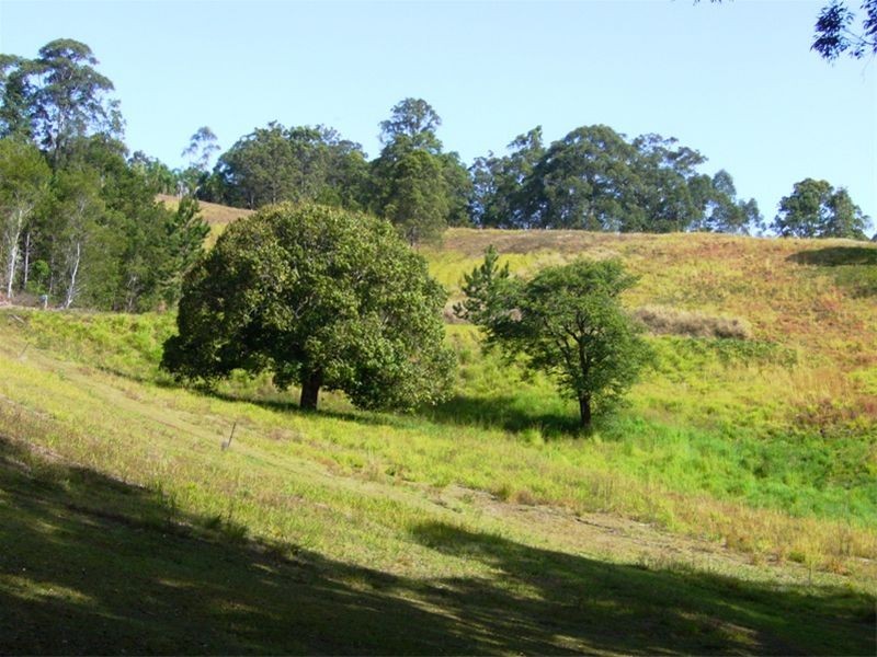 389 (3) Blackall Range Rd, West Woombye QLD 4559