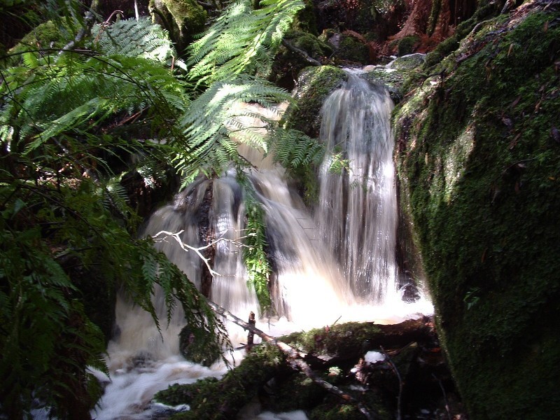 151 Kings Road, Claude Road TAS 7306