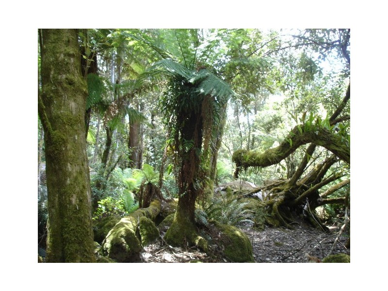 151 Kings Road, Claude Road TAS 7306