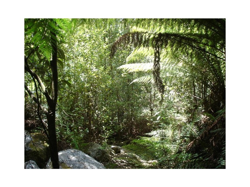 151 Kings Road, Claude Road TAS 7306