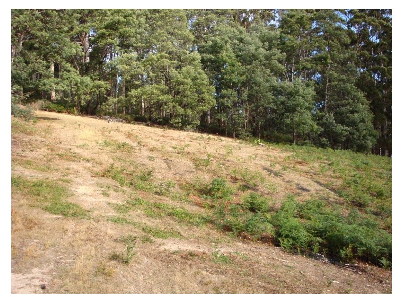 27 Parsons Drive, Acacia Hills TAS 7306