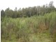 Lot 1 Bramich Road, Acacia Hills TAS 7306