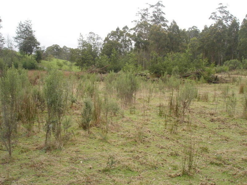 Lot 1 Bramich Road, Acacia Hills TAS 7306