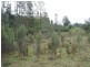 Lot 1 Bramich Road, Acacia Hills TAS 7306