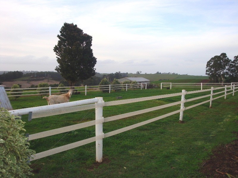 306 Mannings Jetty Road, North Motton TAS 7315