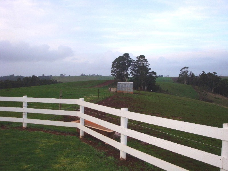 306 Mannings Jetty Road, North Motton TAS 7315