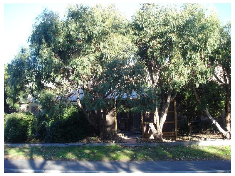 4/34-36 The Esplanade, Turners Beach TAS 7315