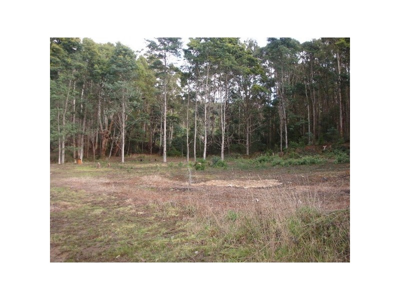 70 Clayton Drive, Spreyton TAS 7310