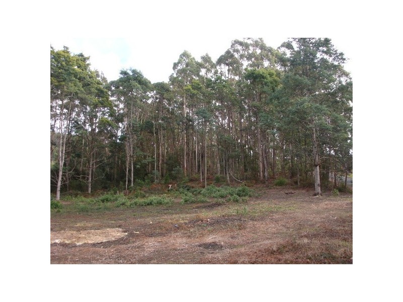 70 Clayton Drive, Spreyton TAS 7310