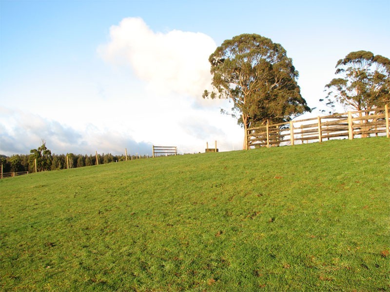 864 Cradle Mountain Road, Erriba TAS 7310