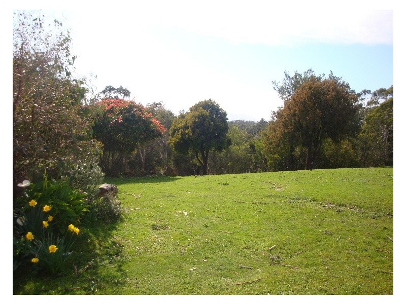 304 Moriarty Road, Moriarty TAS 7307