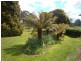 23 Kimberley Road, Railton TAS 7305