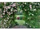 45 Patawalonga Road, Claude Road TAS 7306