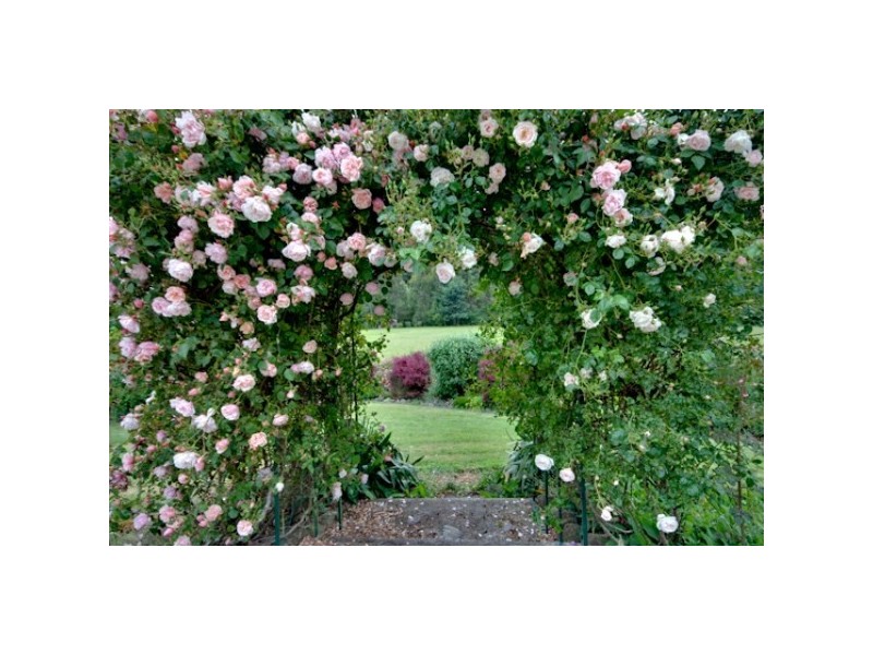 45 Patawalonga Road, Claude Road TAS 7306