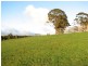 864 Cradle Mountain Road, Erriba TAS 7310
