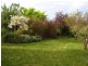 864 Cradle Mountain Road, Erriba TAS 7310