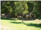 55 Squibbs Road, Spreyton TAS 7310