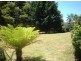 147 Buxtons Road, Wilmot TAS 7310