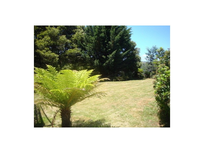 147 Buxtons Road, Wilmot TAS 7310