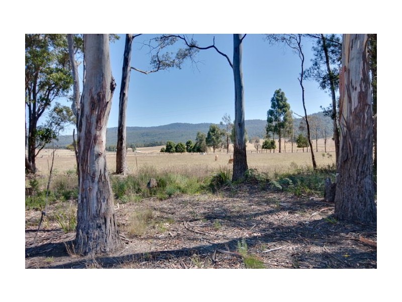 263 Coal Hill Road, Latrobe TAS 7307