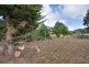 754 Nook Road, Nook TAS 7306