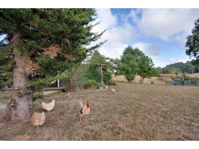 754 Nook Road, Nook TAS 7306