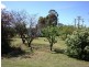 82 Stony Rise Road, Devonport TAS 7310
