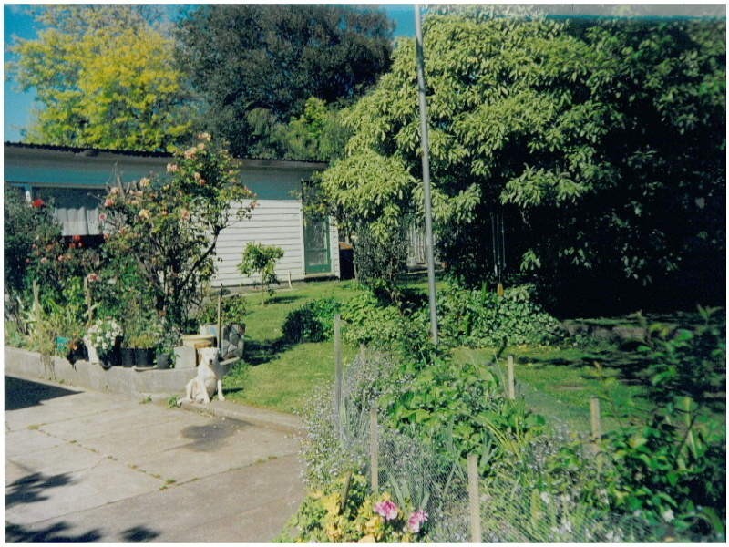 12 Hiller Street, Devonport TAS 7310