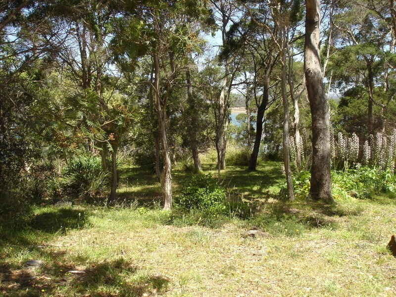 Lot 1,2 144 River Road, Ambleside TAS 7310