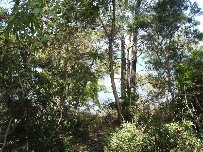 Lot 1,2 144 River Road, Ambleside TAS 7310