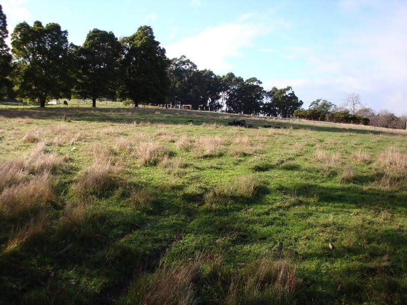 206 Melrose Road, Aberdeen TAS 7310