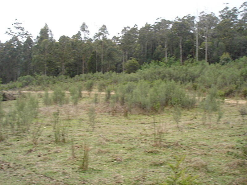 Lot 1 Bramich Road, Acacia Hills TAS 7306