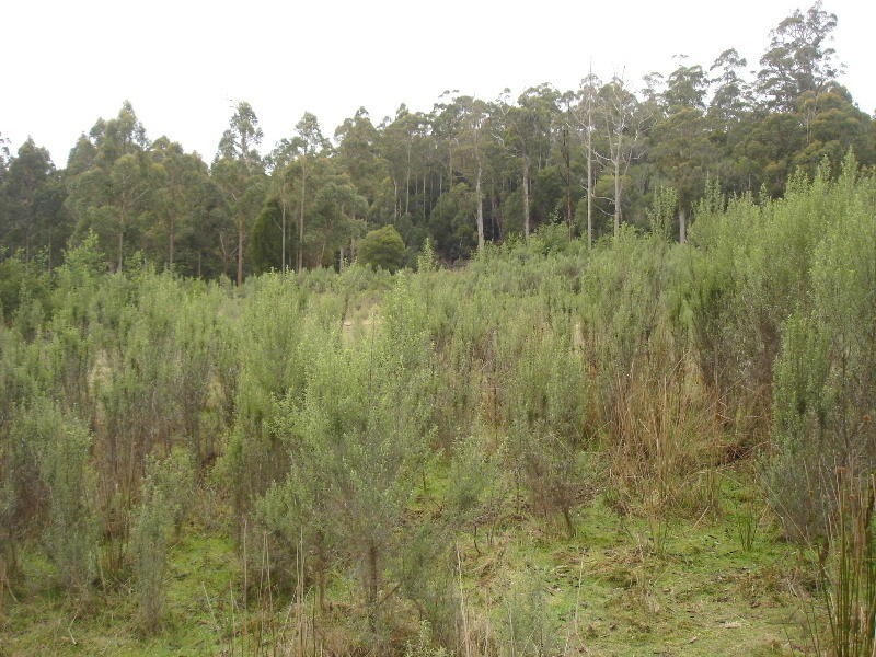 Lot 1 Bramich Road, Acacia Hills TAS 7306