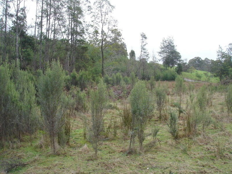 Lot 1 Bramich Road, Acacia Hills TAS 7306