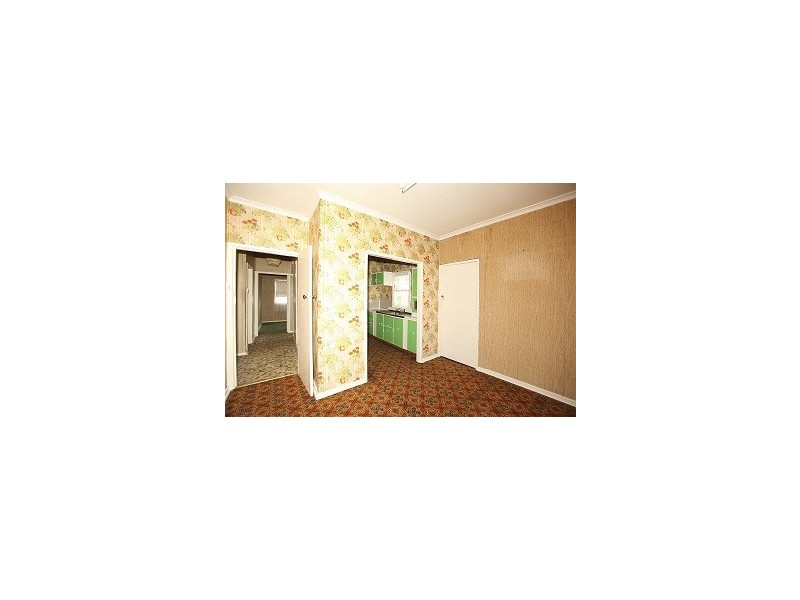 20 Fall Street, Revesby NSW 2212