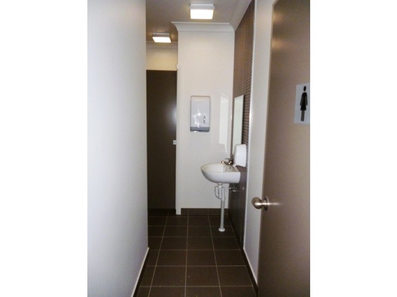 62 Anderson Avenue, Panania NSW 2213