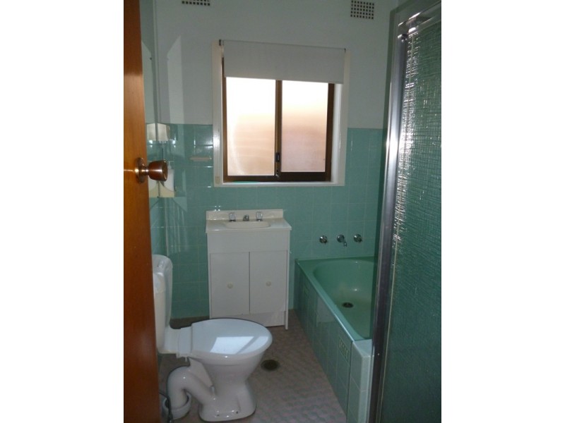 77 Wall Avenue, Panania NSW 2213