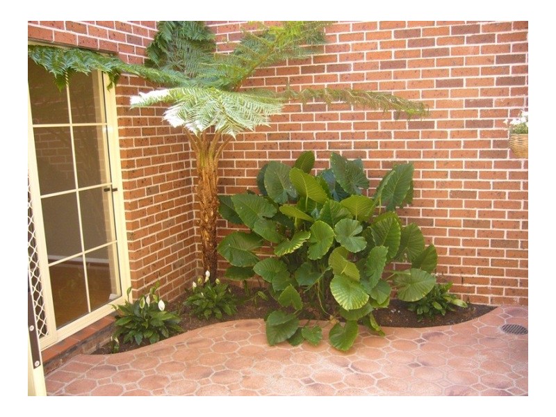 8/135  Lambeth Street, Panania NSW 2213