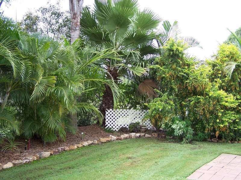 53 Eucalyptus Avenue Hazelmere Village.14 Ibis Blvd, Eli Waters QLD 4655