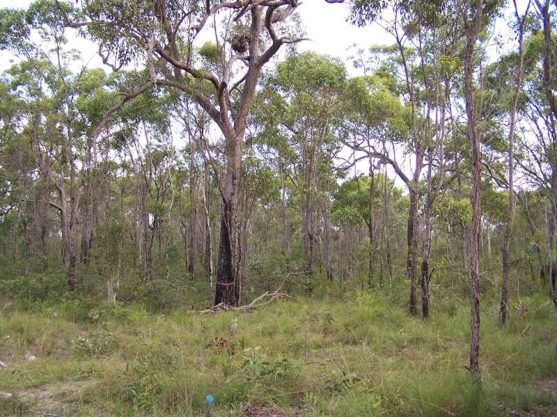 Lot 49 Heathland Avenue, Wondunna QLD 4655