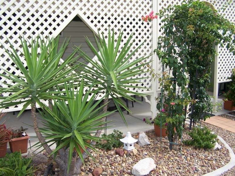 103 Mermaid Avenue, Bay Drive, Pialba QLD 4655