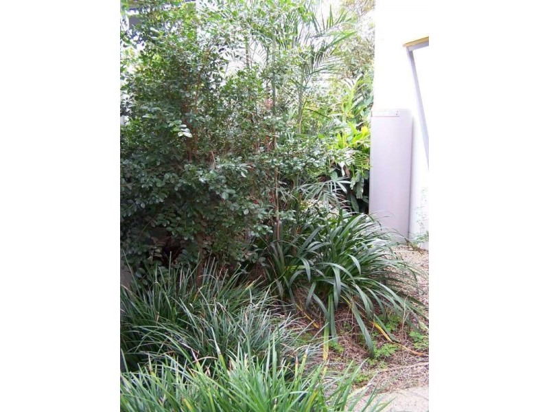 Unit 11 Whale Cove, 68 Pulgul Street, Urangan QLD 4655